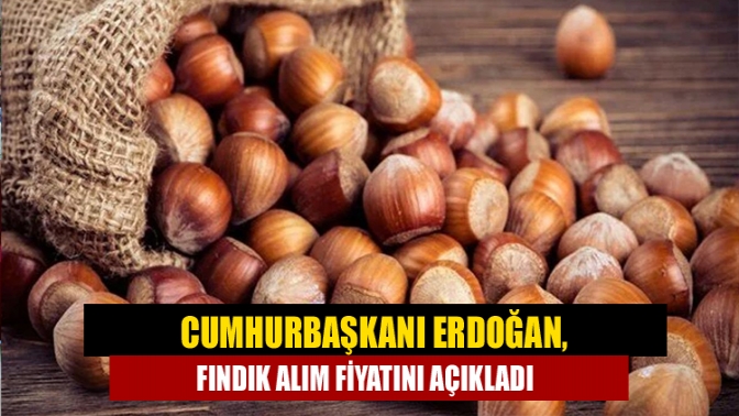 Cumhurbaşkanı Recep Tayyip Erdoğan, Ordu'da fındık alım fiyatını açıkladı. Buna