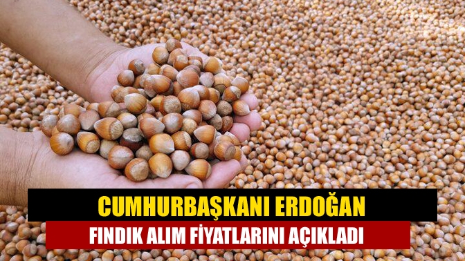 Cumhurbaşkanı Erdoğan, "Fındık alım fiyatımız yüzde 50 sağlam iç esasına