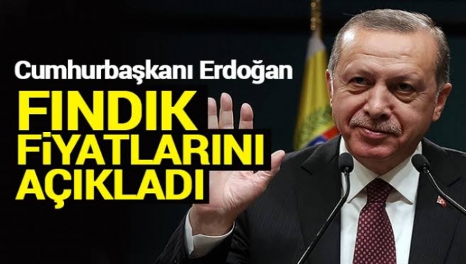 Erdoğan, kaliteli kabuklu Giresun fındığı için taban fiyatın kilogramda 17