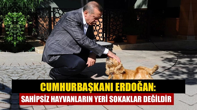 Cumhurbaşkanı Tayyip Erdoğan, Endonezya temaslarının ardından merak edilen birçok kritik