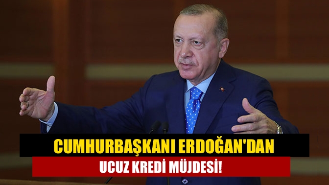 Hükümetin ilave istihdam sağlayan işletmeler için planladığı ucuz maliyetli kredinin
