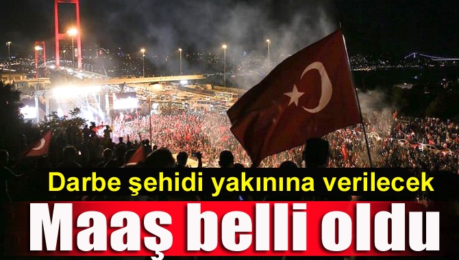 Şehit yakınları ve yaralananlar için aylık ve tazminat belli oldu.