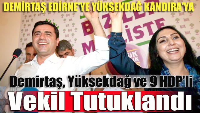 Terör soruşturması kapsamında gözaltına alınan HDP eş genel başkanları Selahattin