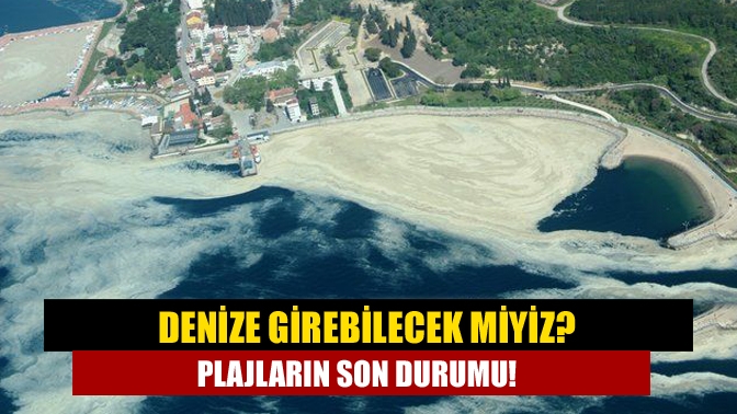 Marmara genelinde sahillerde görülen deniz salyası nedeniyle Kocaeli’de de alınan