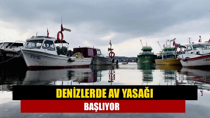 Tarım ve Orman Bakanlığı, '2021-2022 balıkçılık av sezonu yasağı'nın yarın