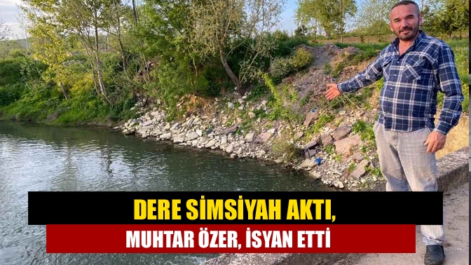 Kandıra Lokmanlı mahallesi muhtarı İrfan Özer, Sarısu Deresinde oluşan kirlilik