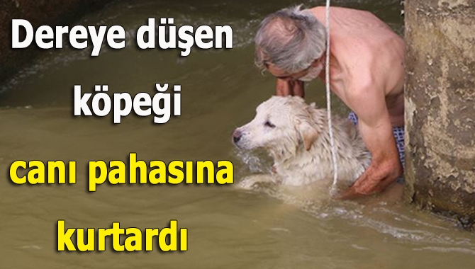 Namazgâh Deresi’ne düşen köpeği fark eden vatandaş, hiç düşünmeden dereye