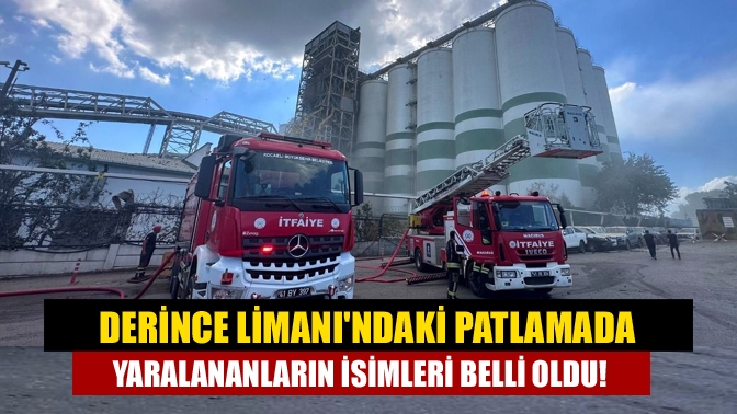 Derince'de Toprak Mahsulleri Ofisi (TMO) silosunda meydana gelen patlamada 3'ü