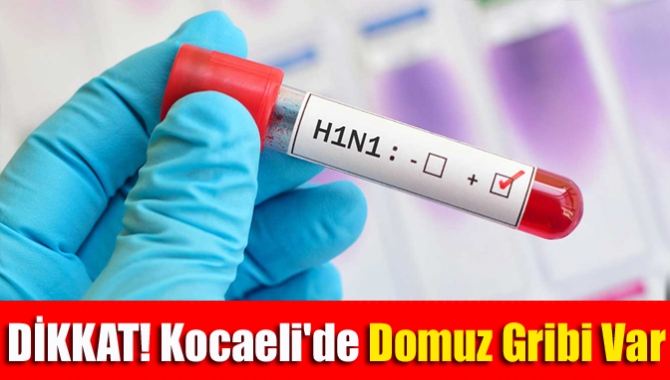 Hava sıcaklıklarının bir inip, bir yükseldiği, beklenen kış mevsiminin bir