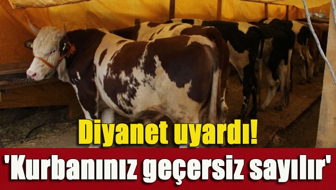 Diyanet, kurbanlık ortaklarının niyetinin ibadet olması gerektiği belirtilerek, “Bir hissedar