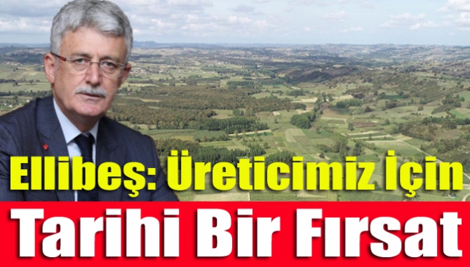 AK Parti İl Başkanı  Ellibeş, “Tıbbi ve Aromatik Bitki