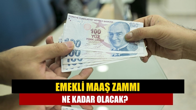 Ocak ayına kısa bir süre kalırken, emekli zammında yaşanan son