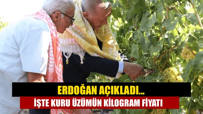 Bakanlık ve belediyelerin hayata geçirdiği projelerin açılışını yapan Cumhurbaşkanı Erdoğan,