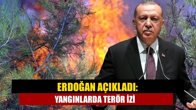 Cumhurbaşkanı Erdoğan, orman yangınları sebebiyle tutuklananlar arasında ailesinde PKK bağlantısı