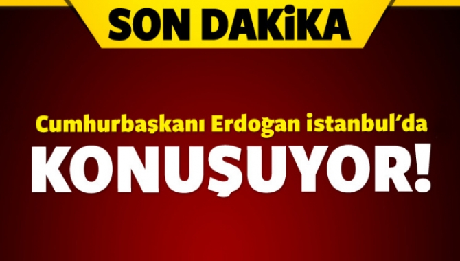 Cumhurbaşkanı Erdoğan'ın uçağı İstanbul'daki Atatürk Havalimanı'na indi. Erdoğan burada konuşma