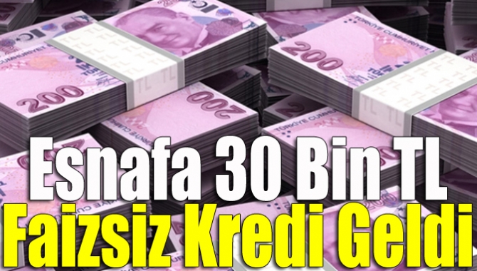 Kocaeli Esnaf Kefalet Kooperatifi Başkanı Faruk Demir, esnaflar için 30