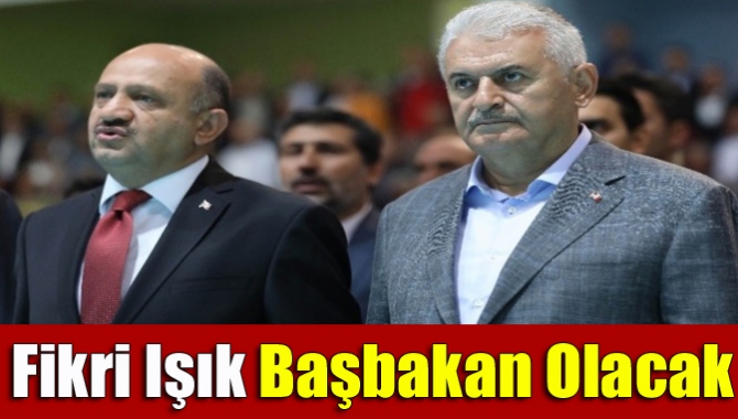7-11 Kasım tarihlerinde ABD'de olacak olan Başbakan Binali Yıldırım'ın yerine