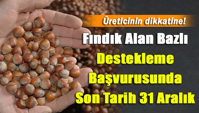 Kandıra Gıda, Tarım ve Hayvancılık İlçe Müdürlüğü, 2018 yılı fındık