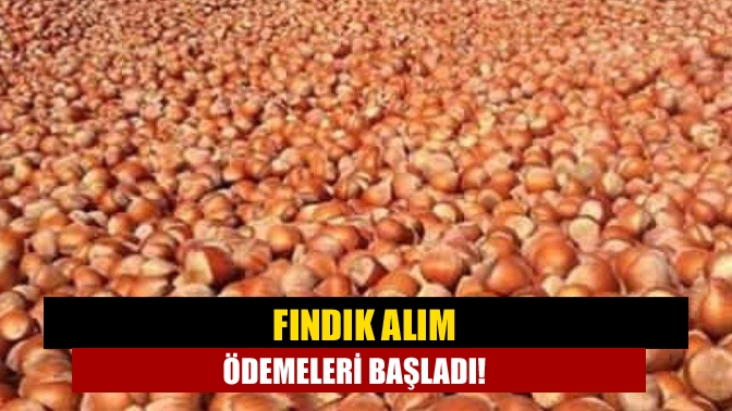 Tarım ve Orman Bakanı Pakdemirli, Toprak Mahsulleri Ofisinin fındık alım
