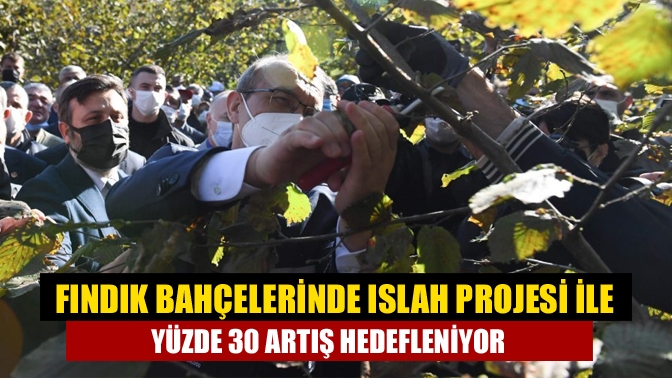 Kocaeli’deki fındık üretiminde yüksek kalite ve verimlilikte artışının hedeflendiği “Fındık