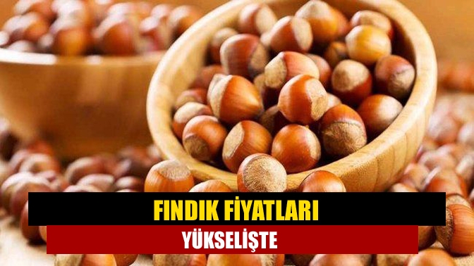 Serbest piyasada son 2 aydır 47 lira seviyelerinde sabitlenen fındık