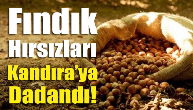 Fındık fiyatlarının son dönemde artış göstermesi ve fındık hasadının sona