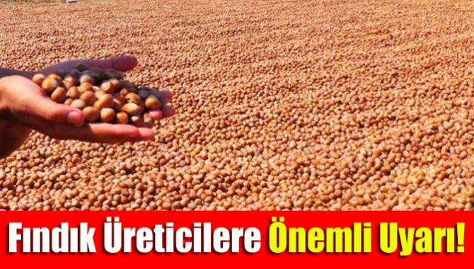Kandıra Ziraat Odası Başkanı Erdal Çetin, fındık üreticilerini il dışından