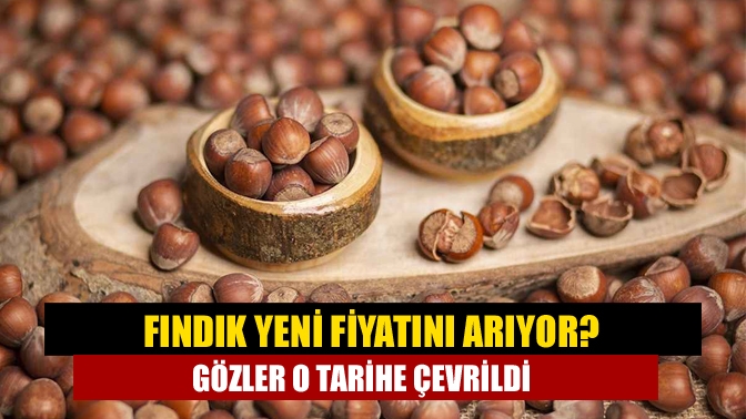 Fındık fiyatlarında yaşanan dalgalanmaların ardından üreticiler yeni sezon fiyatları için