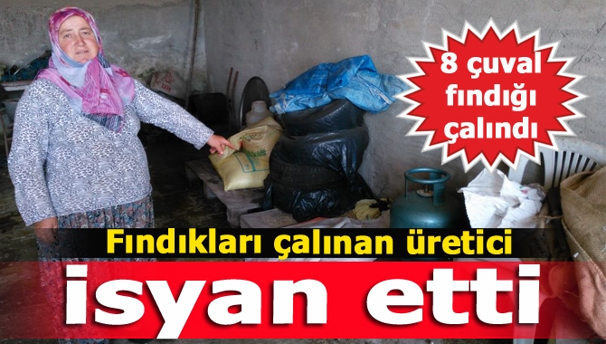 Kandıra’nın Omurcalı Mahallesi’nde fındık deposundan 8 çuval fındığı çalınan üretici