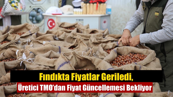 Bu yıl fındıkta beklenen 700 bin ton üretim gerçekleşmedi, rekolte