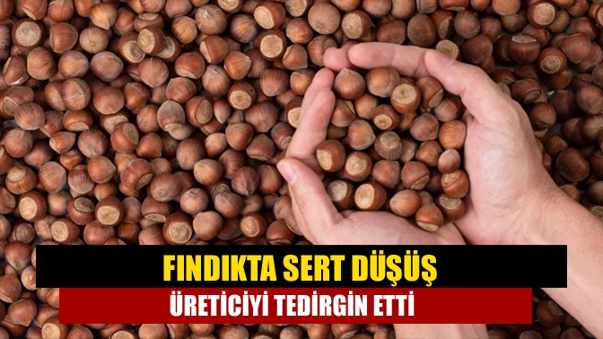 Fındık fiyatları, 11 Mayıs 2025 itibarıyla Karadeniz ile birlikte Kocaeli