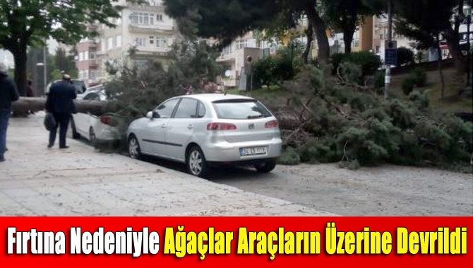 İzmit'te bir anda etkili olan şiddetli fırtına nedeniyle ağaçlar, yolda