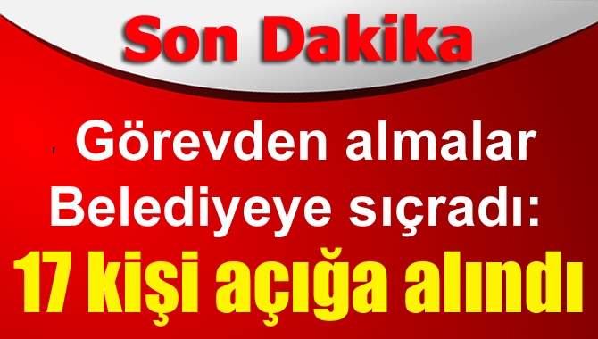 Hükümet, darbe girişimi sonrası cemaati bitirmek ve devlet kurumlarından temizlemek