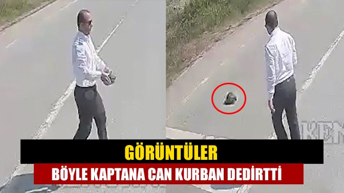 UlaşımPark Şoförü Seyit Durak yolda gördüğü kaplumbağayı aracı durdurarak güvenli