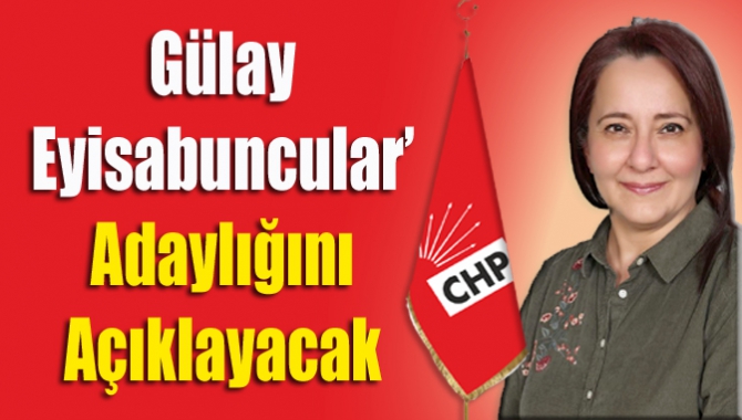 CHP’nin gelecek vadeden siyasetçilerinden CHP Kandıra eski İlçe Başkanı Gülay