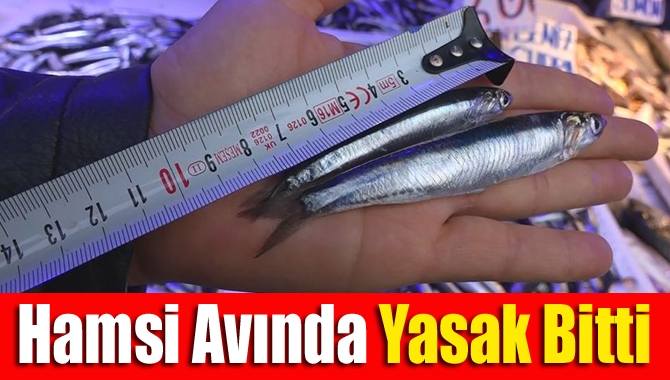 Hamsi avcılığına kapalı olan İstanbul’un doğusu ve Kocaeli sınırları içerisinde
