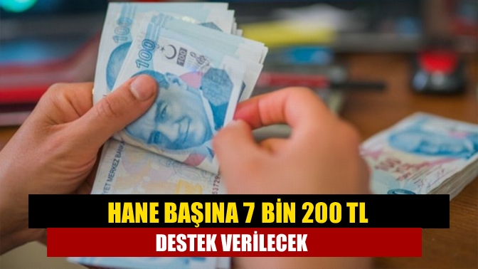 Cumhurbaşkanı Recep Tayyip Erdoğan tarafından duyurulan Aile Destek Programı'nın detayları