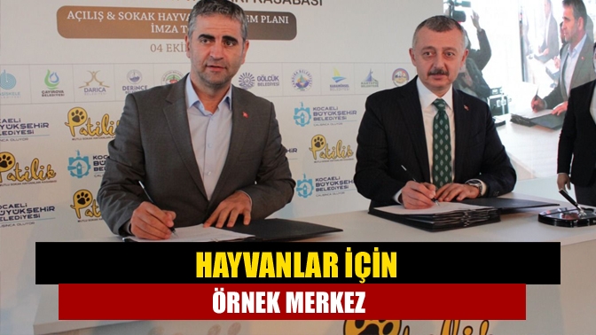 Büyükşehir Belediyesi Patilik Mutlu Sokak Hayvanları Kasabası'nı açarak Türkiye’ye örnek
