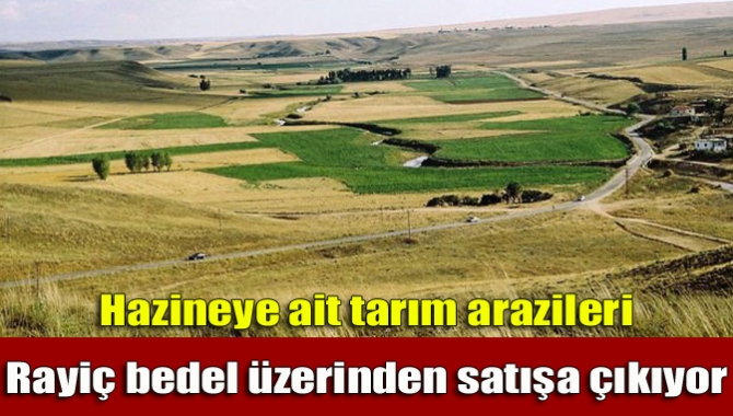 Belediye ve mücavir alan sınırları içindeki tarım arazileri hissedarlarına, kiracılarına