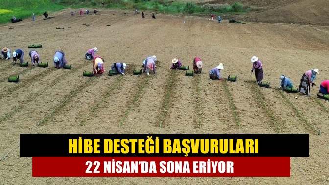 Büyükşehir’in, tarım ve hayvancılık faaliyetinde bulunan kooperatif ve birliklere sağlayacağı