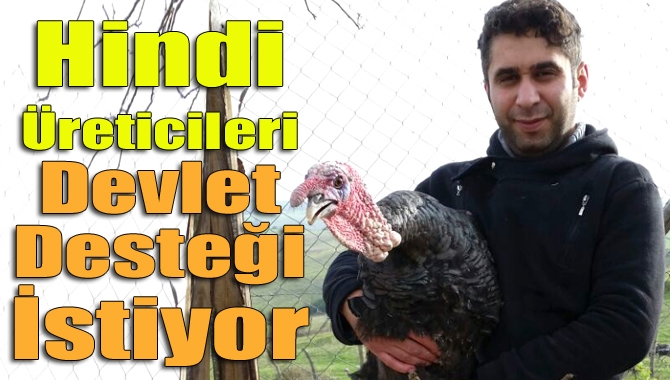 Yılbaşı yaklaşırken tadı ve lezzetiyle ünlü Kandıra hindisine talep yoğunlaşırken,