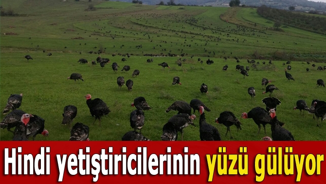 Yılbaşına sayılı günler kala lezzetiyle ünlü Kandıra hindisine talep yoğunlaşırken,