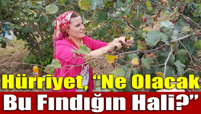 Kandıra’da fındık üreticisi ile bir araya gelen Milletvekili Fatma Kaplan
