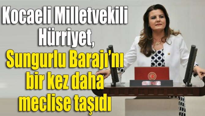 Kandıra’nın Sungurlu Barajı ile ilgili muhalefetini ortaya koyan CHP Kocaeli