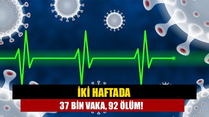 Sağlık Bakanlığının paylaştığı 14-27 Kasım arası kovid-19 tablosuna göre Son