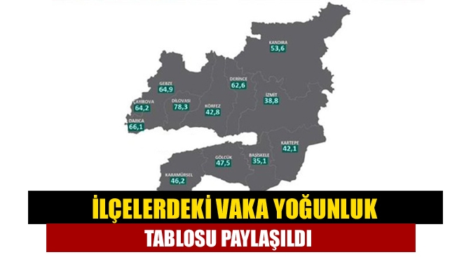 Sağlık Bakanı Fahrettin Koca tarafından illere göre 100 bin kişide