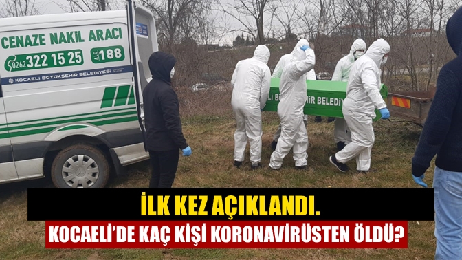 TÜİK, 2 boyunca süren ve yüzbinlerce kişinin hayatını kaybetmesine neden