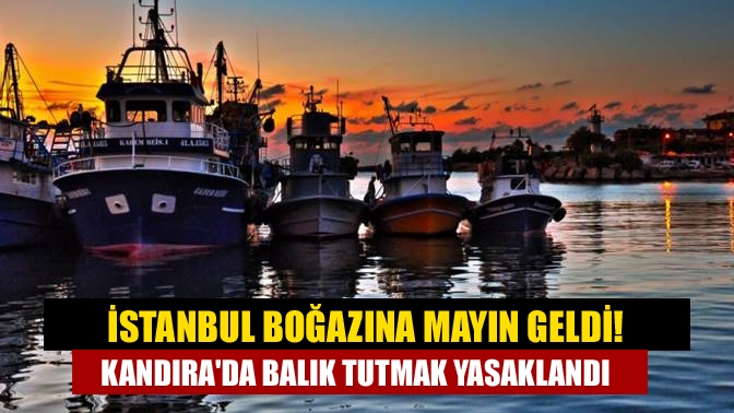 Bulgaristan sınırı ile Kandıra Kefken arasında, gün batımından gün doğumuna