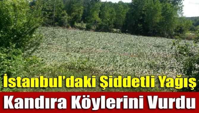 İstanbul’da sel felaketine yol açan yağmur, etkisini Kandıra’da da gösterdi.