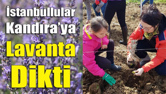 İstanbul’dan bir grup Kandıra Akçaova ve çevre köyleri ziyaret ettikten